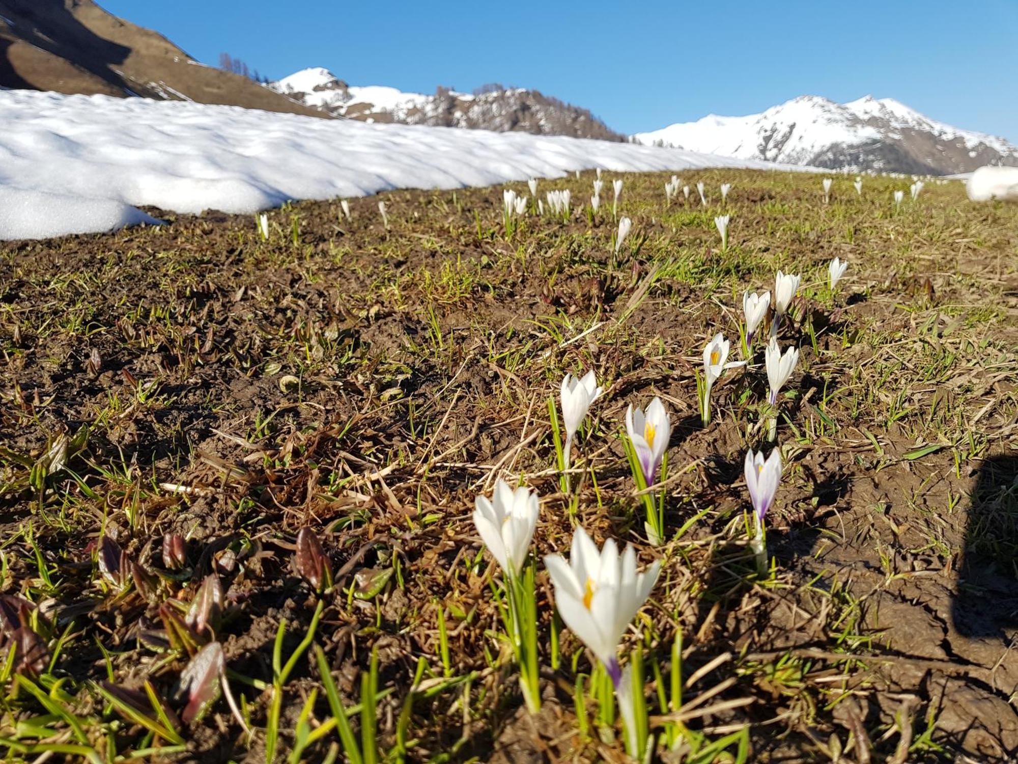 Apart Foresta Samnaun Zewnętrze zdjęcie